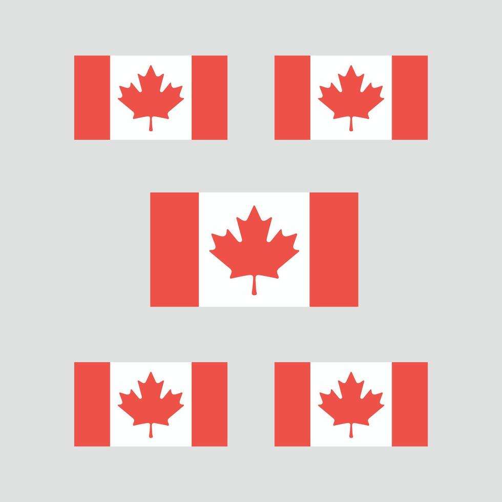 Multiple Canadian Flags with maple leaf vector