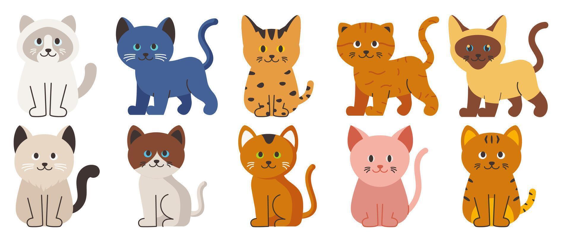 Collection of Illustrated Cats with Various Breeds and Coat Patterns vector