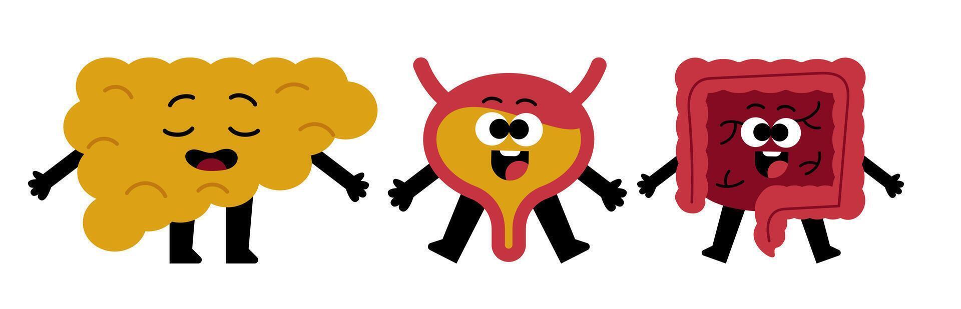 Whimsical Cartoon Internal Organs Promoting Gut Health and Wellness Campaign vector