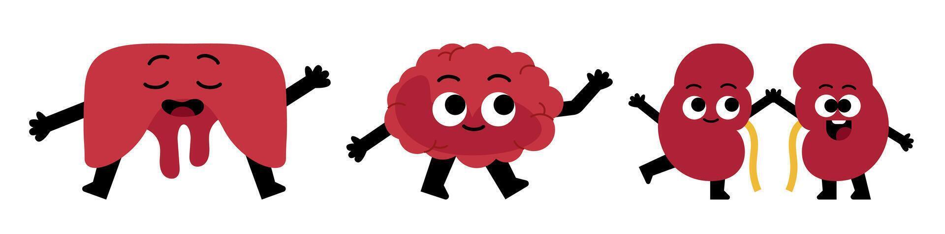 Happy internal organs cartoon characters illustration for educational materials vector