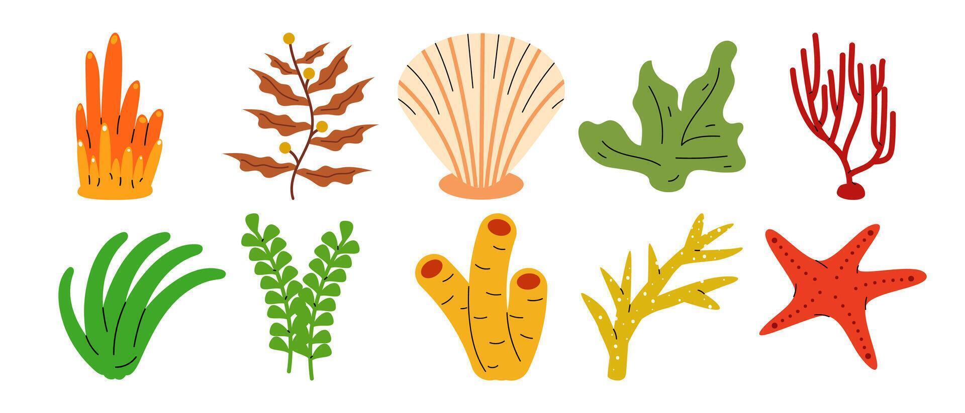 Stylized underwater marine life elements, seaweeds corals and a starfish vector