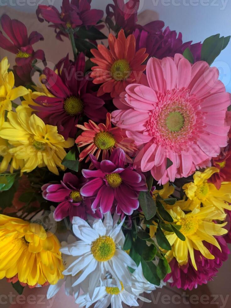 colorful daisy bouquet mixed flowers beauty photo