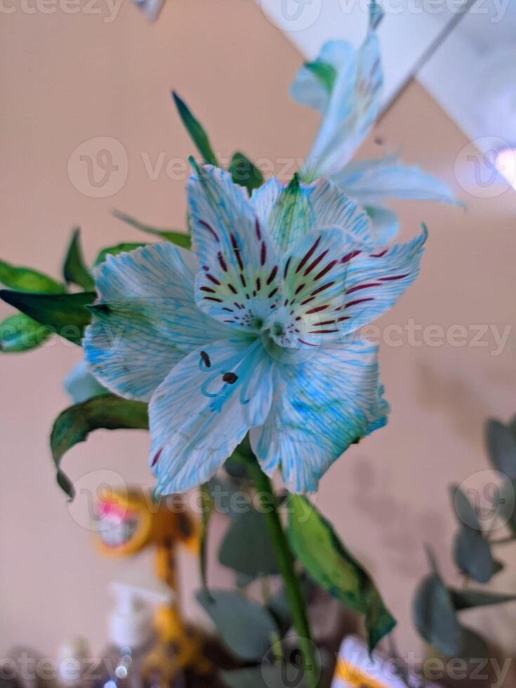 blue flower close detailed texture photo