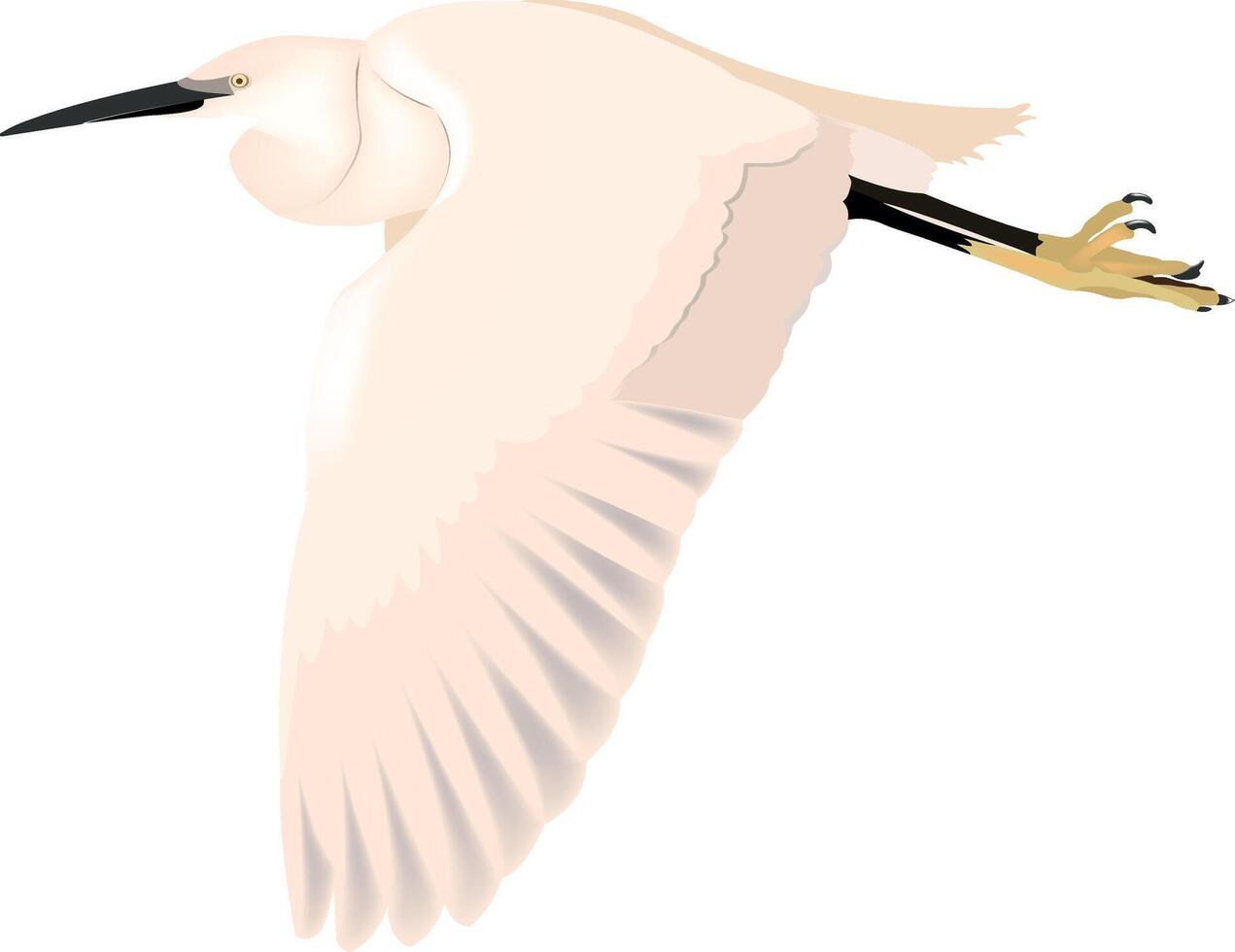 An image of a white bird flying in the air vector