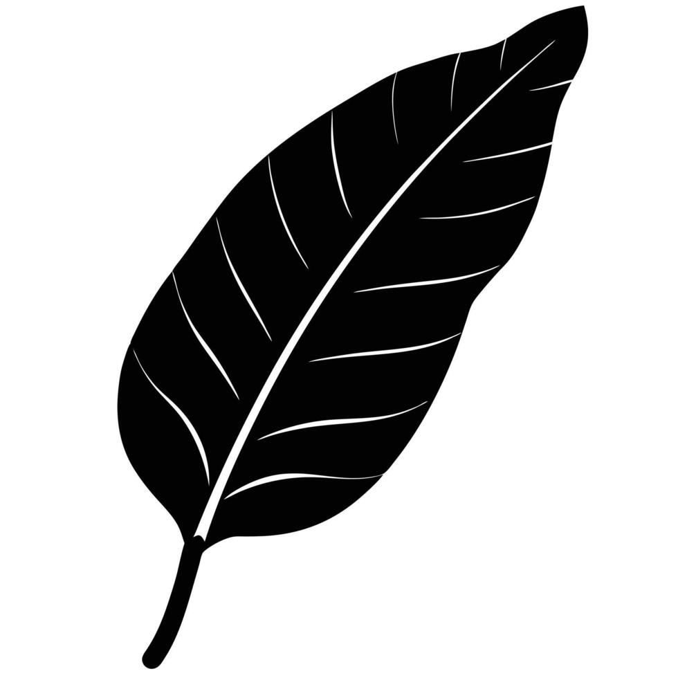 black and white illustration of a leaf vector