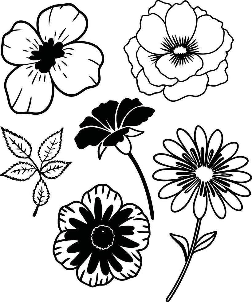 Free Wildflower Illustration Set in Format vector