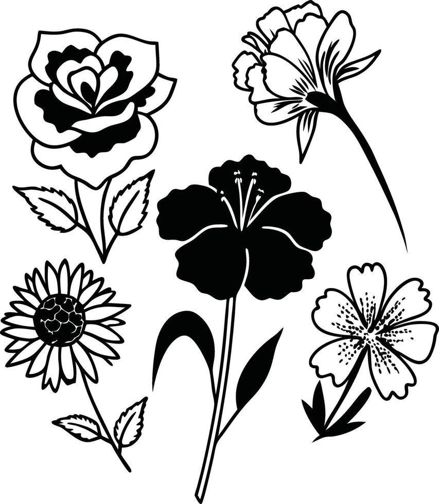 Delicate Wildflower Line Drawings Set vector