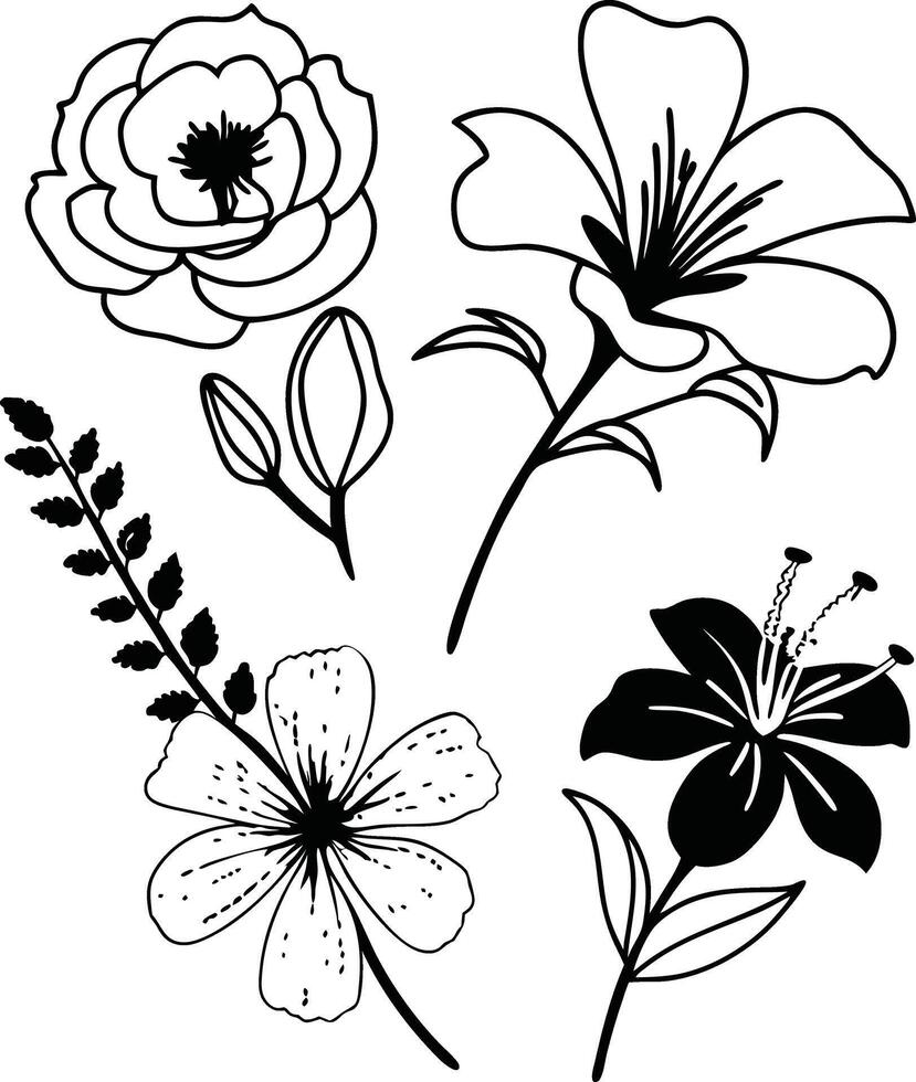 Simple Floral Doodle Designs Bouquets and Arrangements vector