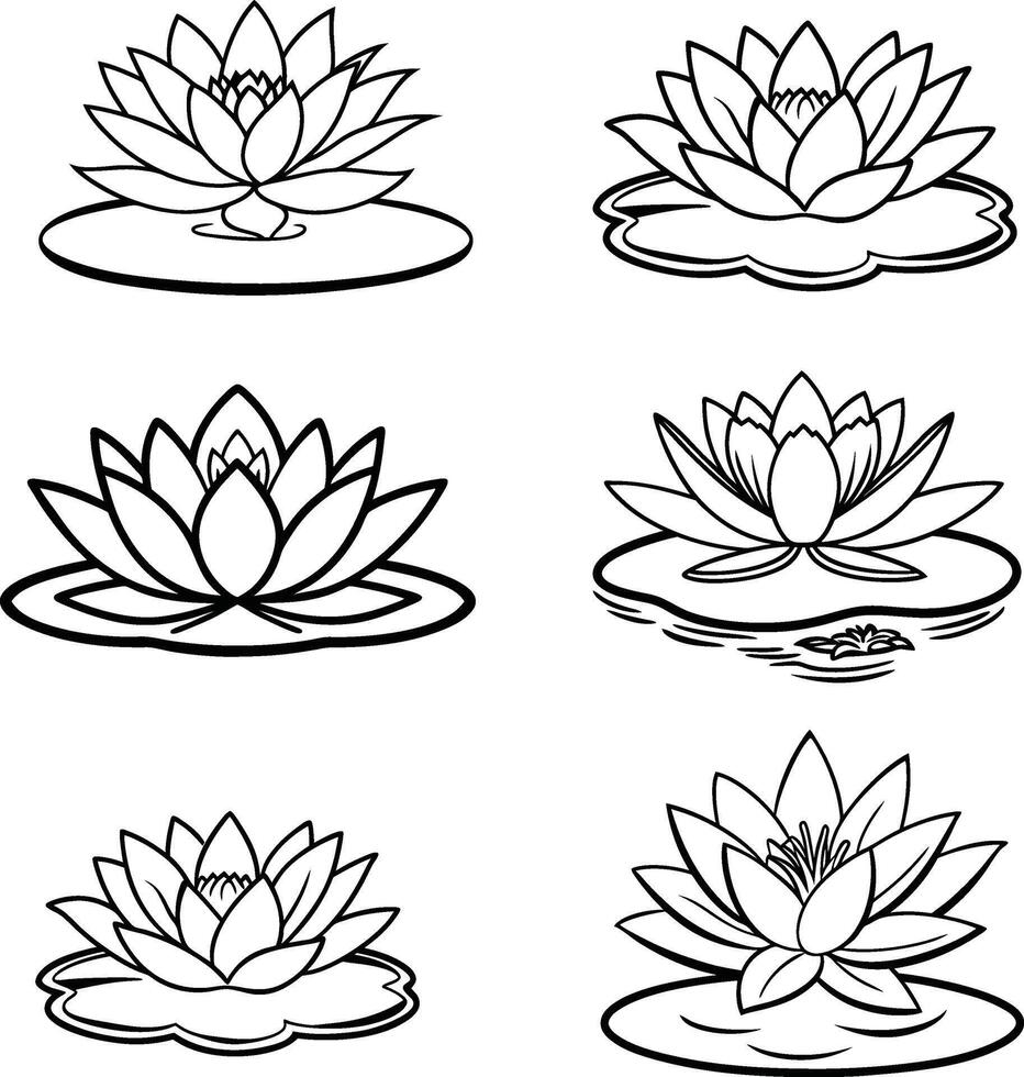 Simple Botanical Line Sketches Collection vector