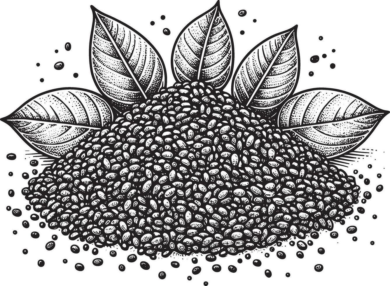 chia seed silhouette line art vector