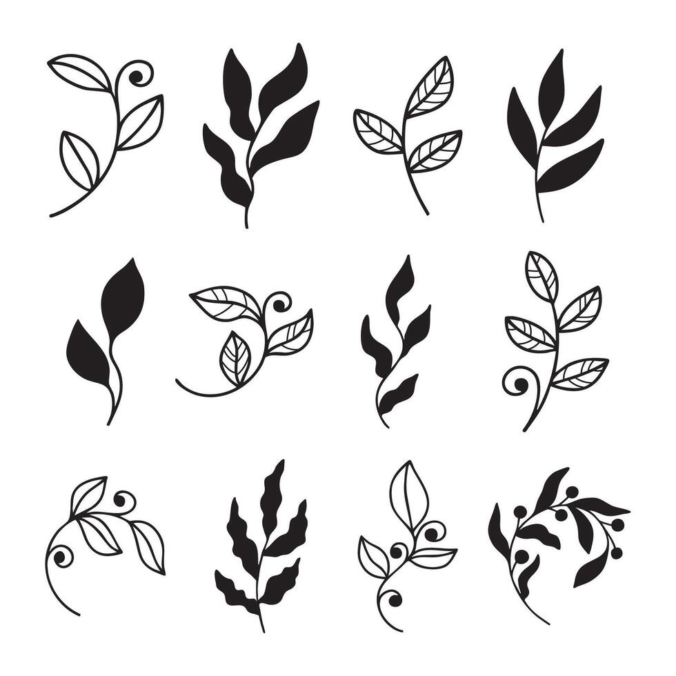 Set of organic minimalist silhouette summer and spring branches with leaves. Simple flower logo design element. Elegant floral twig decoration. Botanical simple. Plant icon set vector