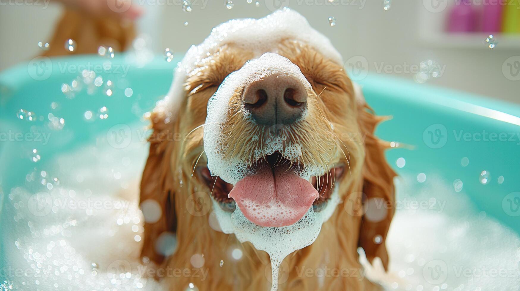 Golden retriever enjoying a bath covered in soap foam photo