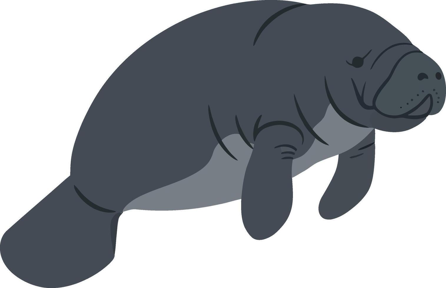 Manatee swimming gracefully in a serene underwater setting, showcasing a flat design style with muted colors, illustration vector