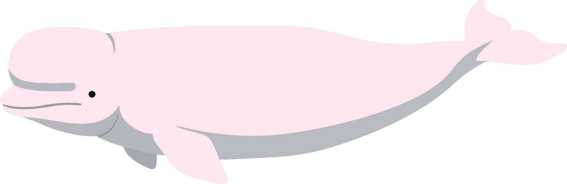 A gentle beluga whale swimming gracefully through serene waters in a minimal flat design style, showcasing the beauty of marine life in art vector