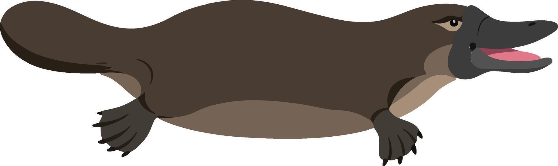 Platypus swimming gracefully in a minimalistic flat design style showcasing its unique features in vibrant art vector