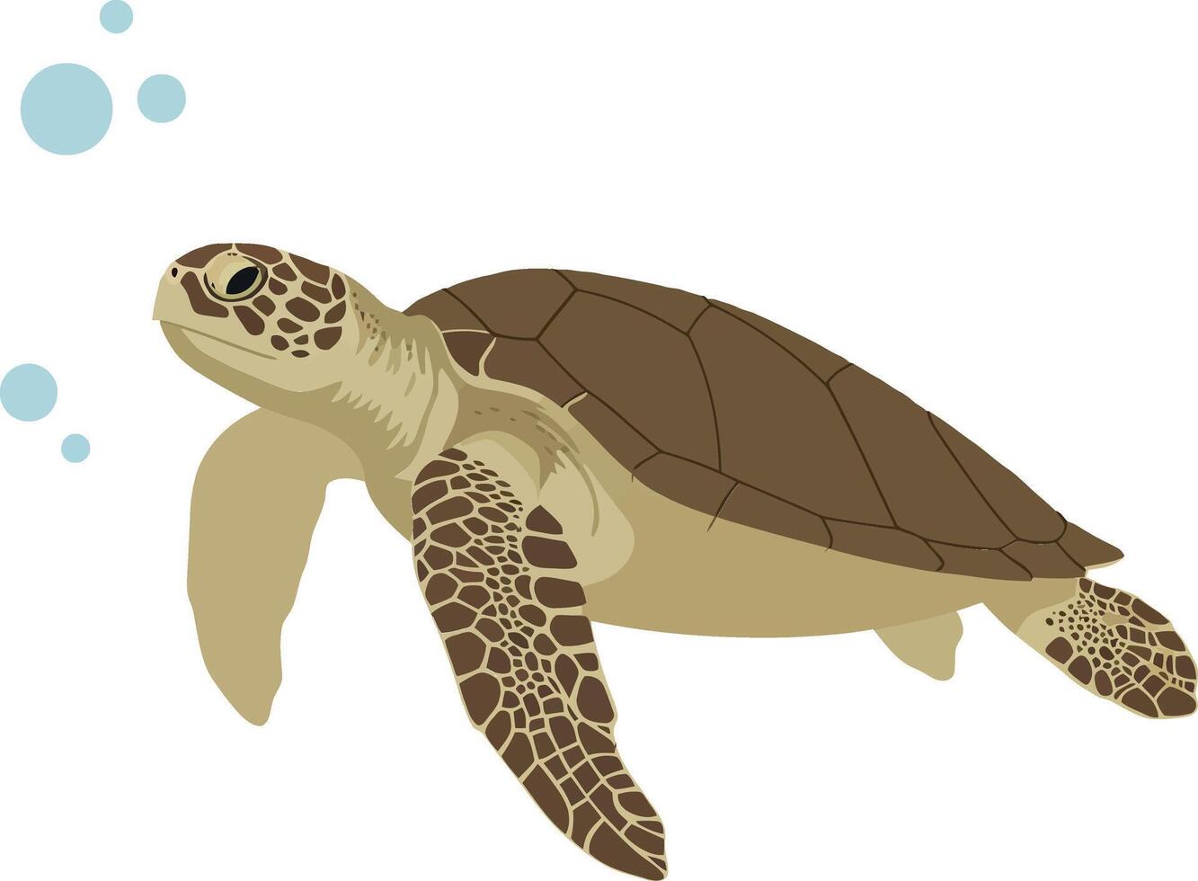 A graceful green sea turtle swimming serenely through clear blue waters in a flat illustration showcasing aquatic life and tranquility in nature vector