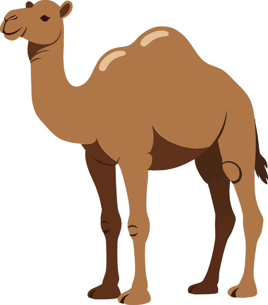 Detailed illustration of a standing camel showcasing a flat design style in warm, earthy tones, perfect for educational art vector