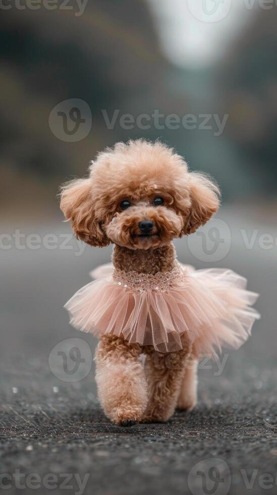 A small dog wearing a pink tutu dress photo