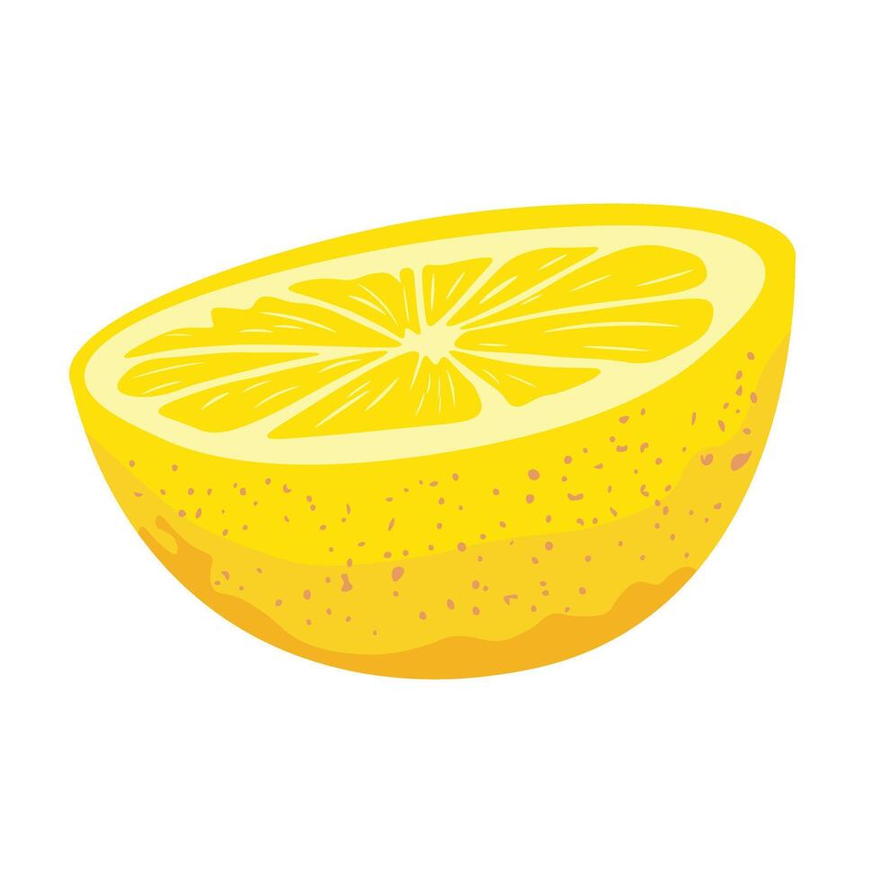 Juicy half of lemon vector