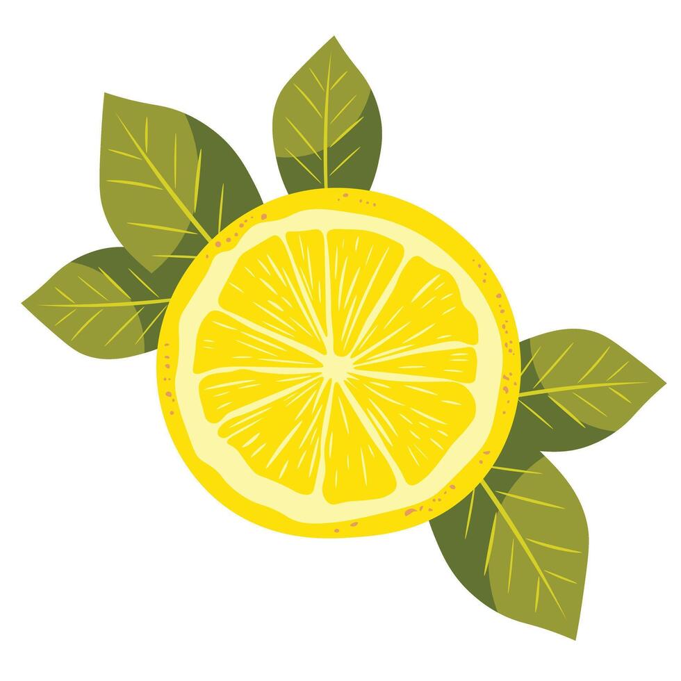Ripe yellow lemon vector