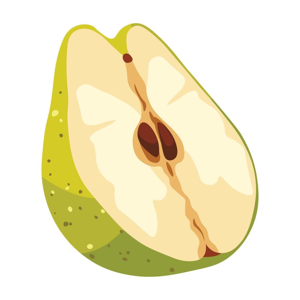 Perfectly shaped graphic pear artwork. vector