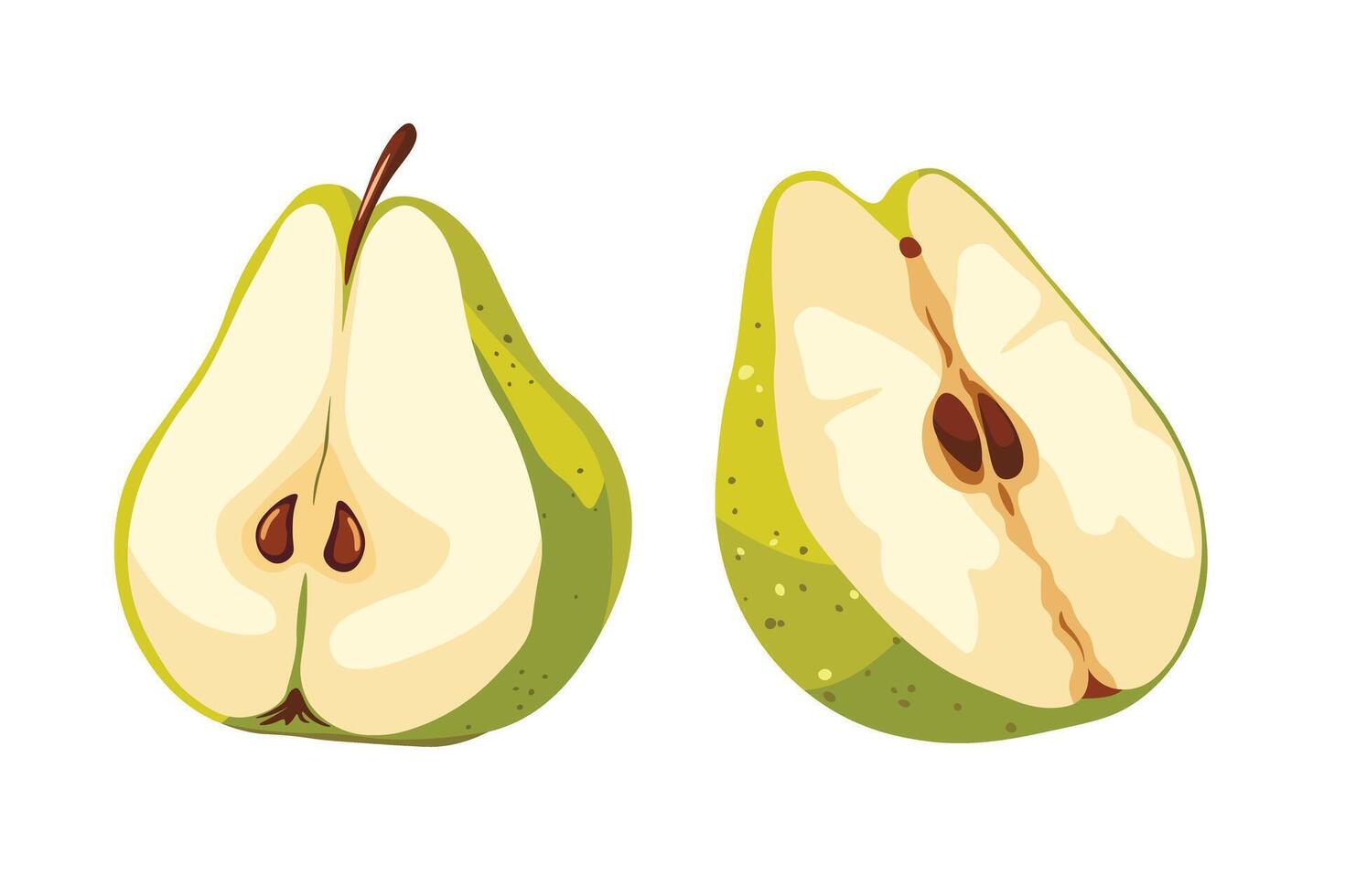 A variety of colorful pears. vector