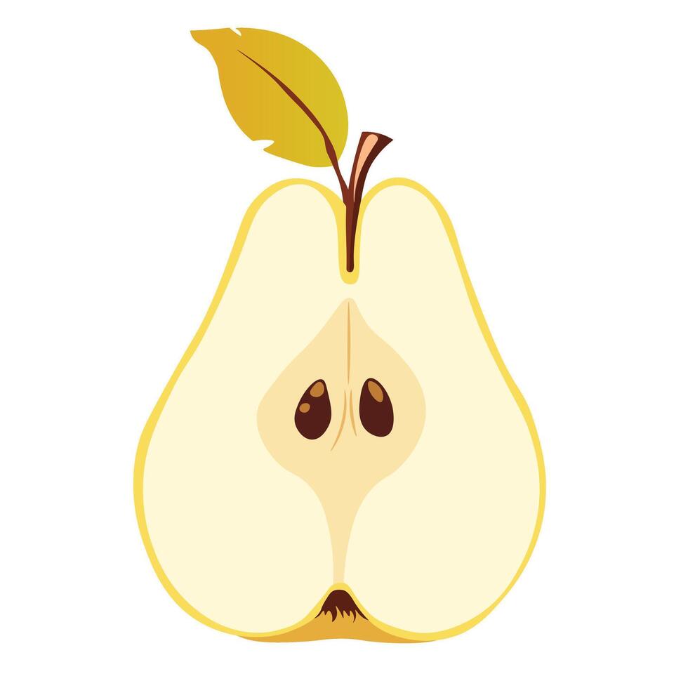 Elegant fruit illustration with details vector