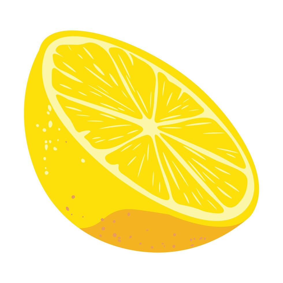 Half a yellow lemon vector