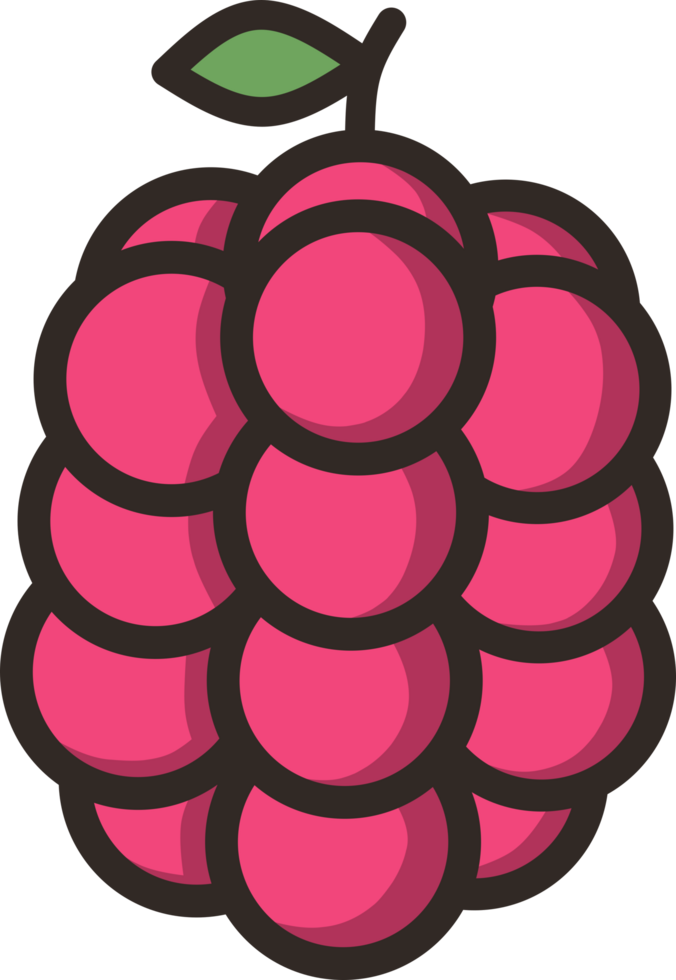 Raspberry Style Fruit Icons png