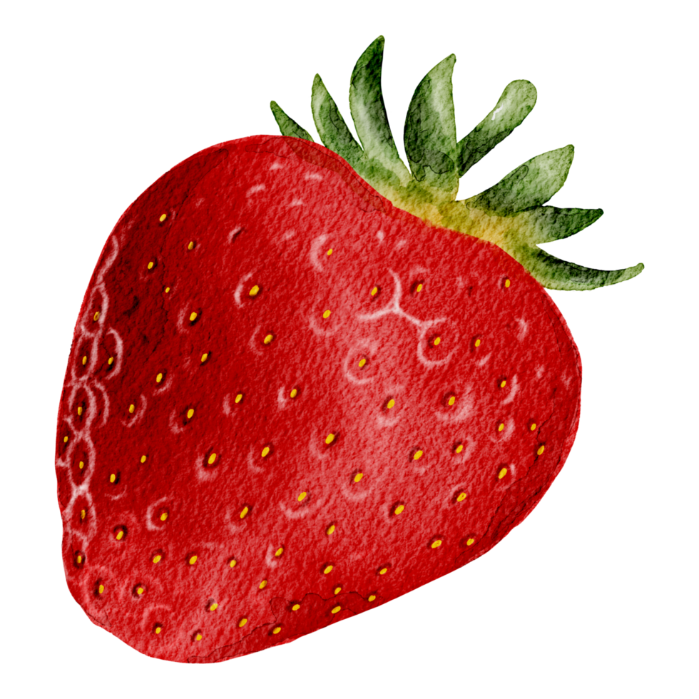 Watercolor red strawberry png