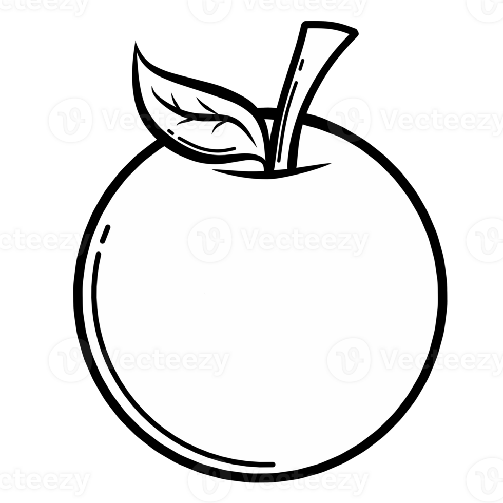 Orange cartoon illustration png