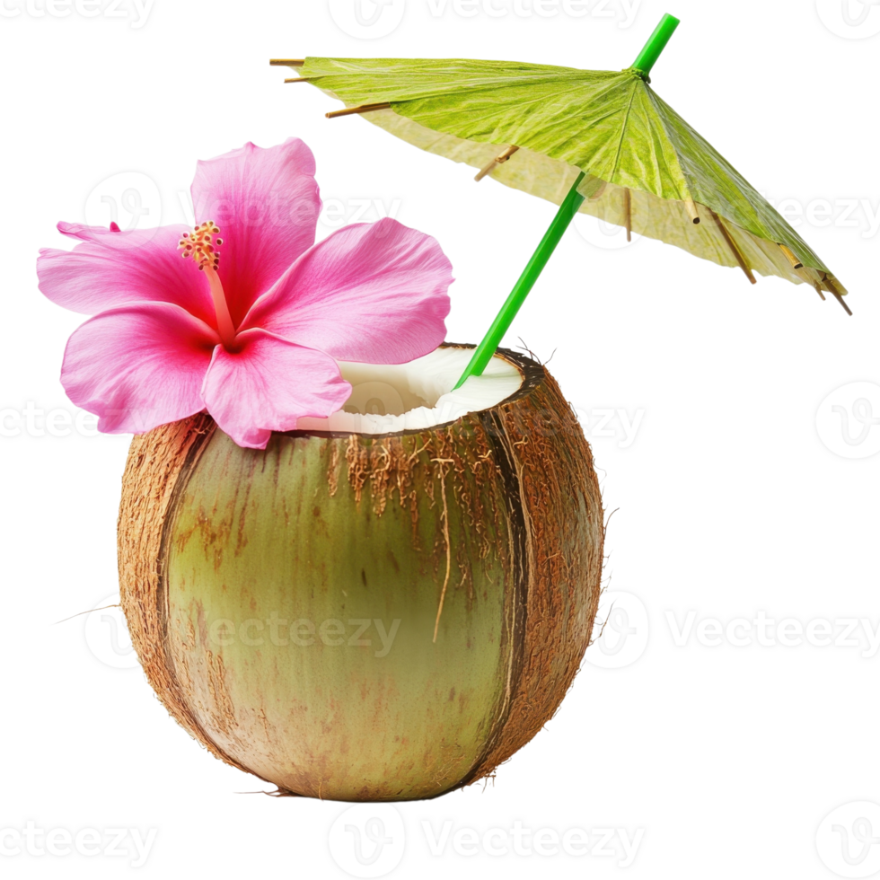 Fresh Coconut with Pink Flower on transparent background. png