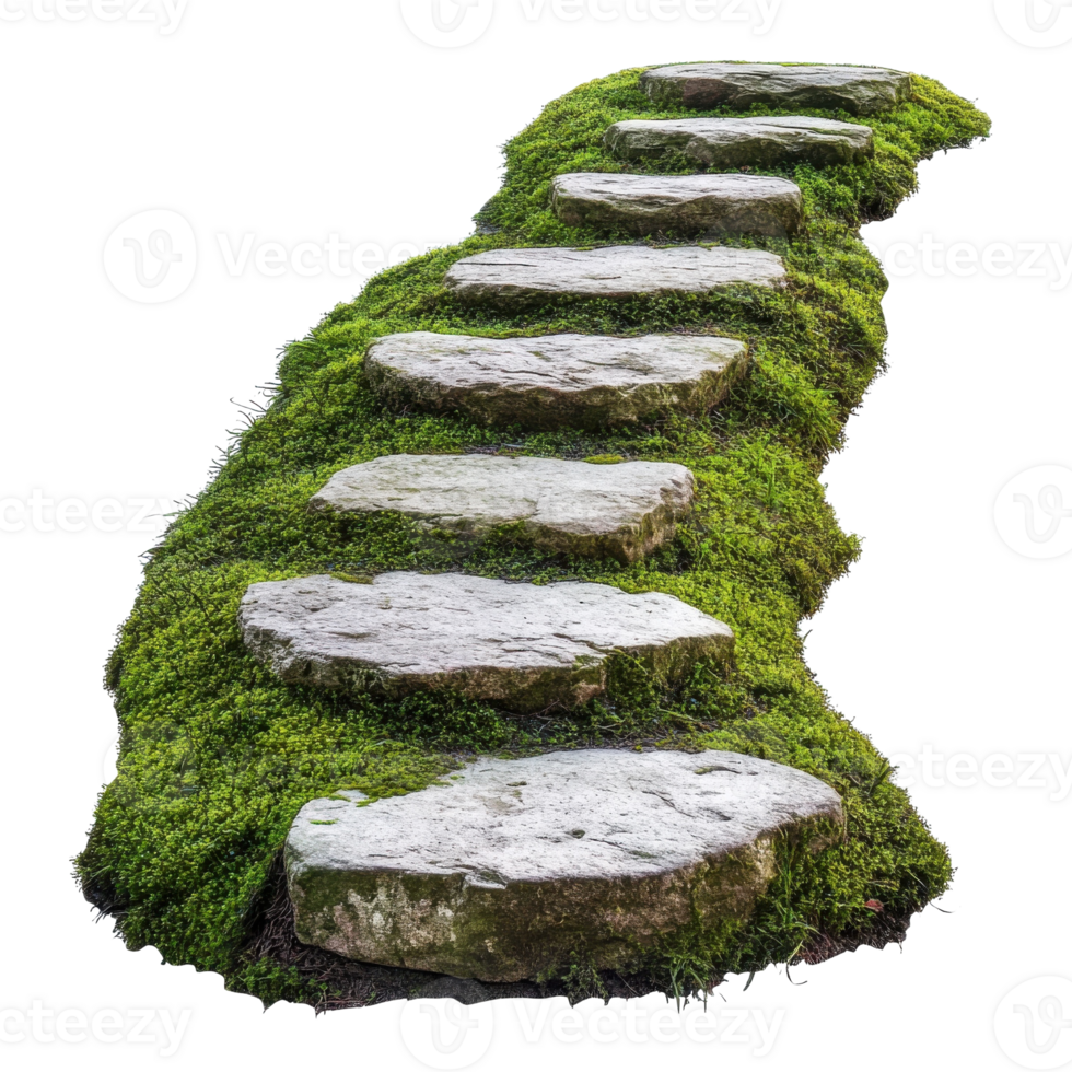 Moss Path Stone Winding Gently on transparent background. png