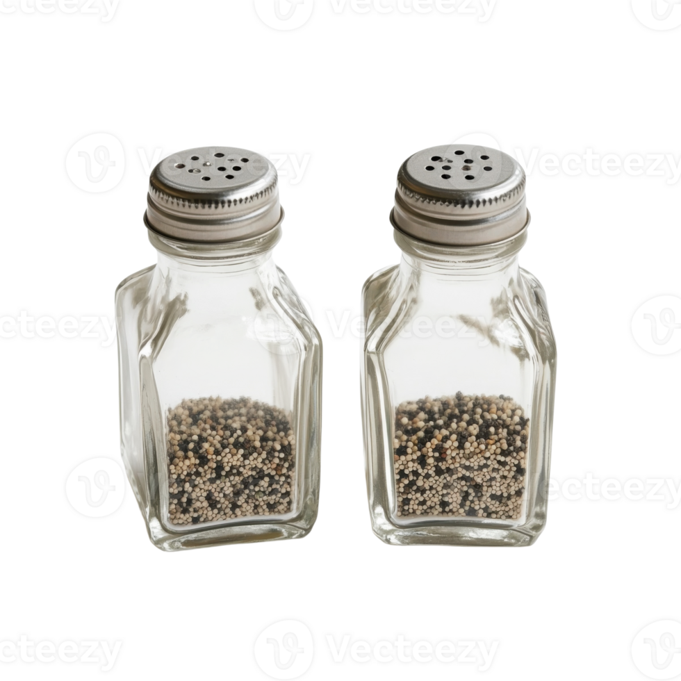 Elegant Salt and Pepper Shakers on transparent background. png