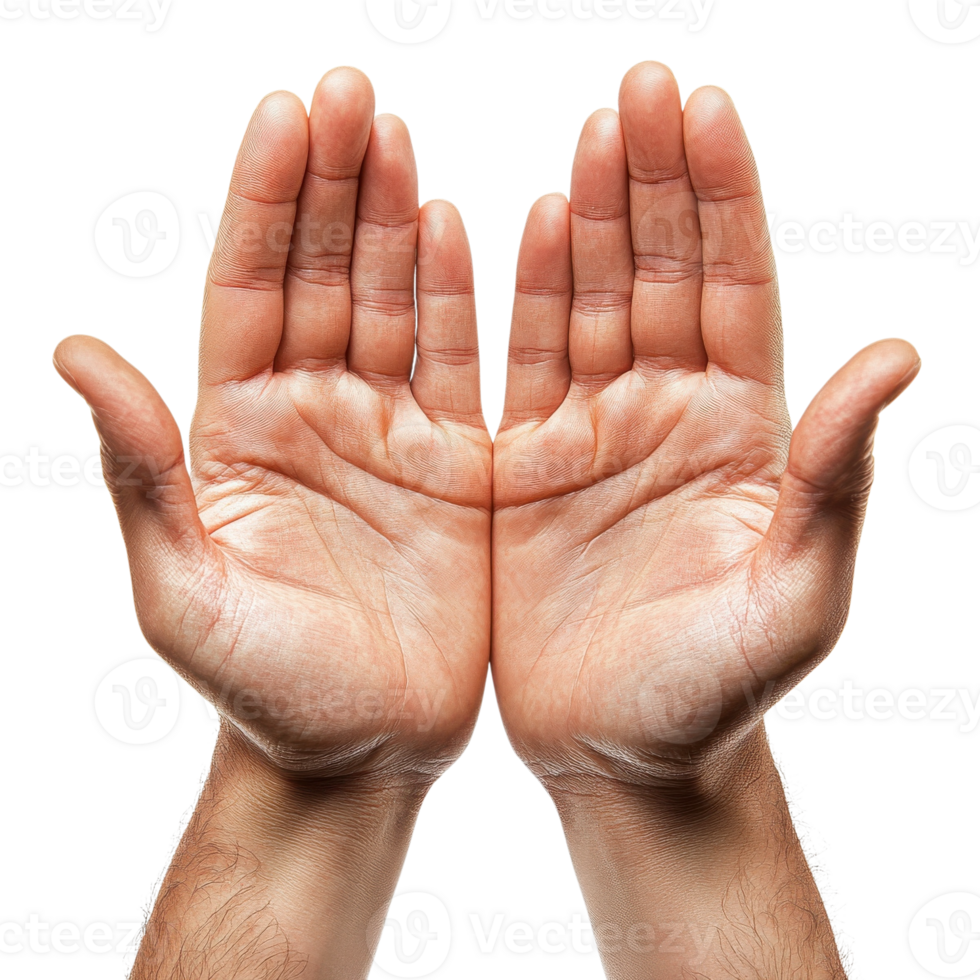 Praying Hands in Prayer Pose on transparent background. png