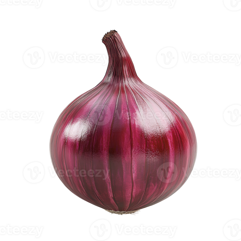 Red Onion 3D Render Icon on transparent background. png