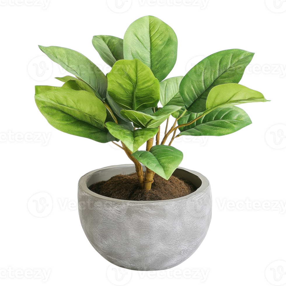 Artificial Plant in Pot Home Decor on transparent background. png