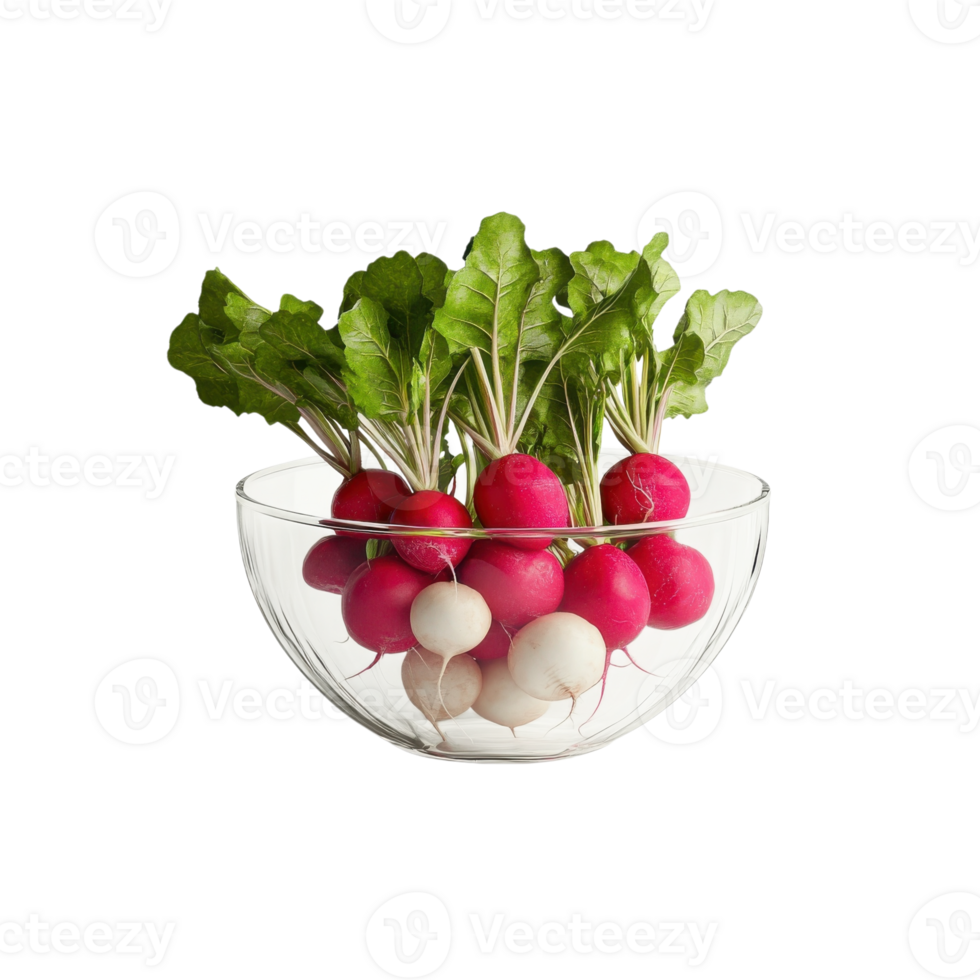 Vibrant Radishes Farm Fresh on transparent background. png