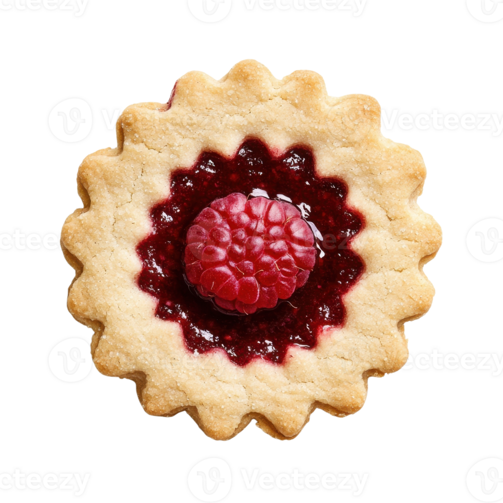Delicious Single Raspberry Close Up on transparent background. png