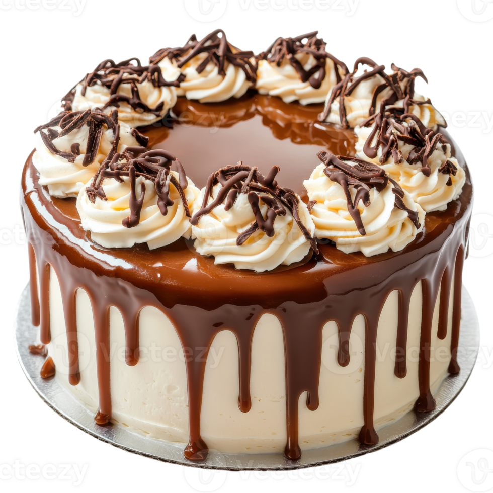 Delicious Vanilla Caramel Cake on transparent background. png