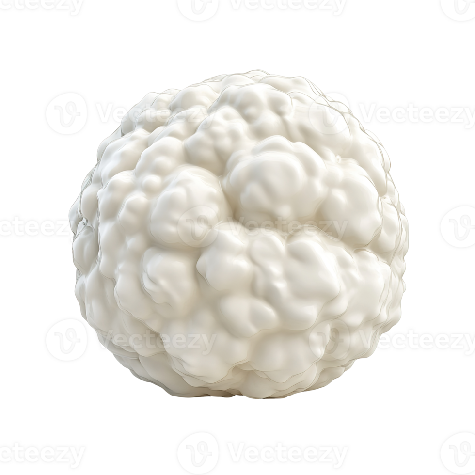 A smooth white cauliflower head isolated on transparent background. png