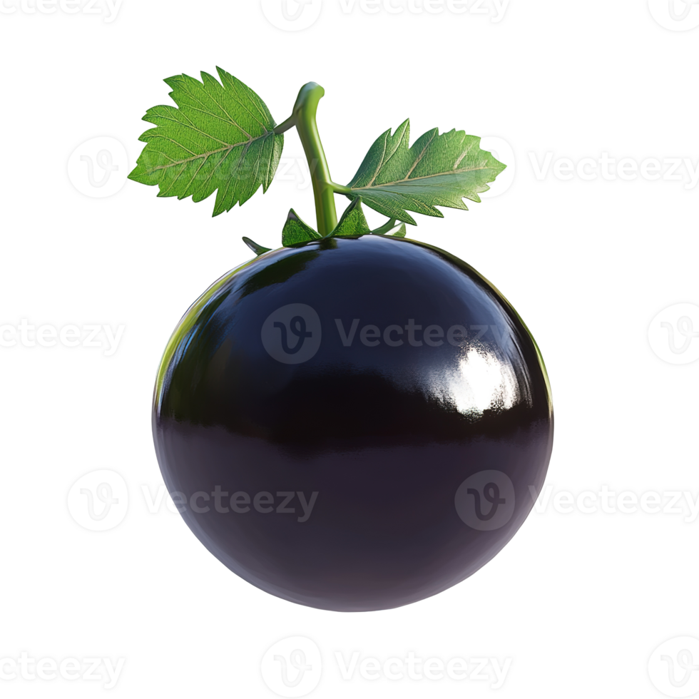 A single round dark fruit is shown with leaves and a stem png