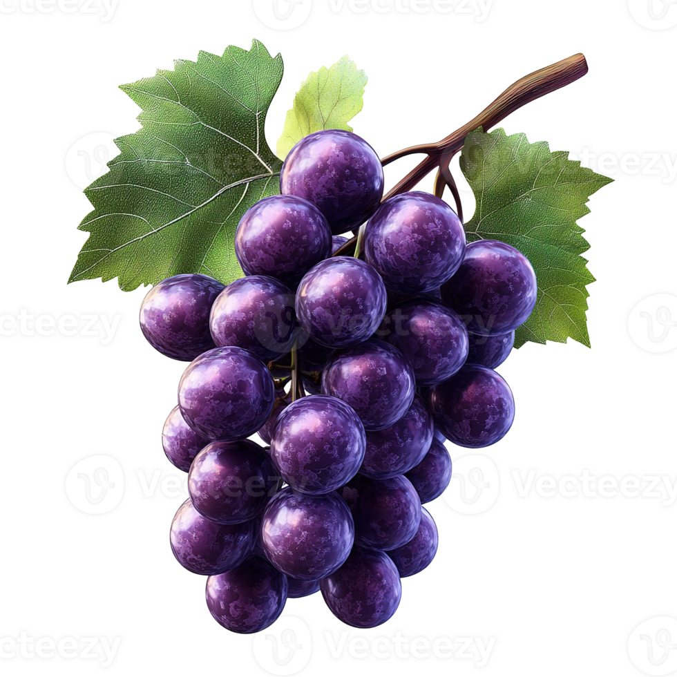 A cluster of ripe purple grapes with green leaves png