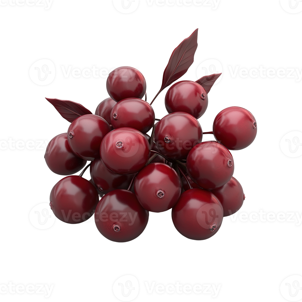 A cluster of ripe red berries with dark leaves on display isolated on transparent background. png