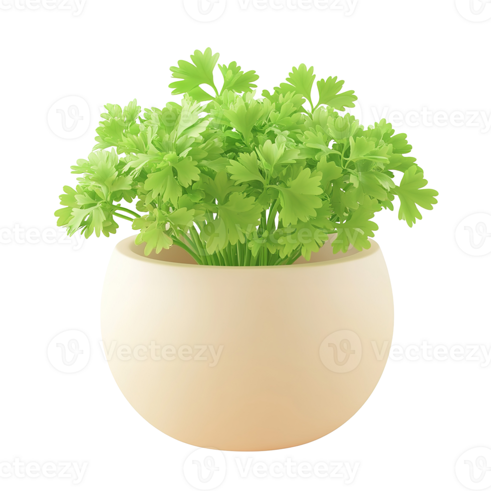 A rendered image of a leafy plant in a rounded pot png