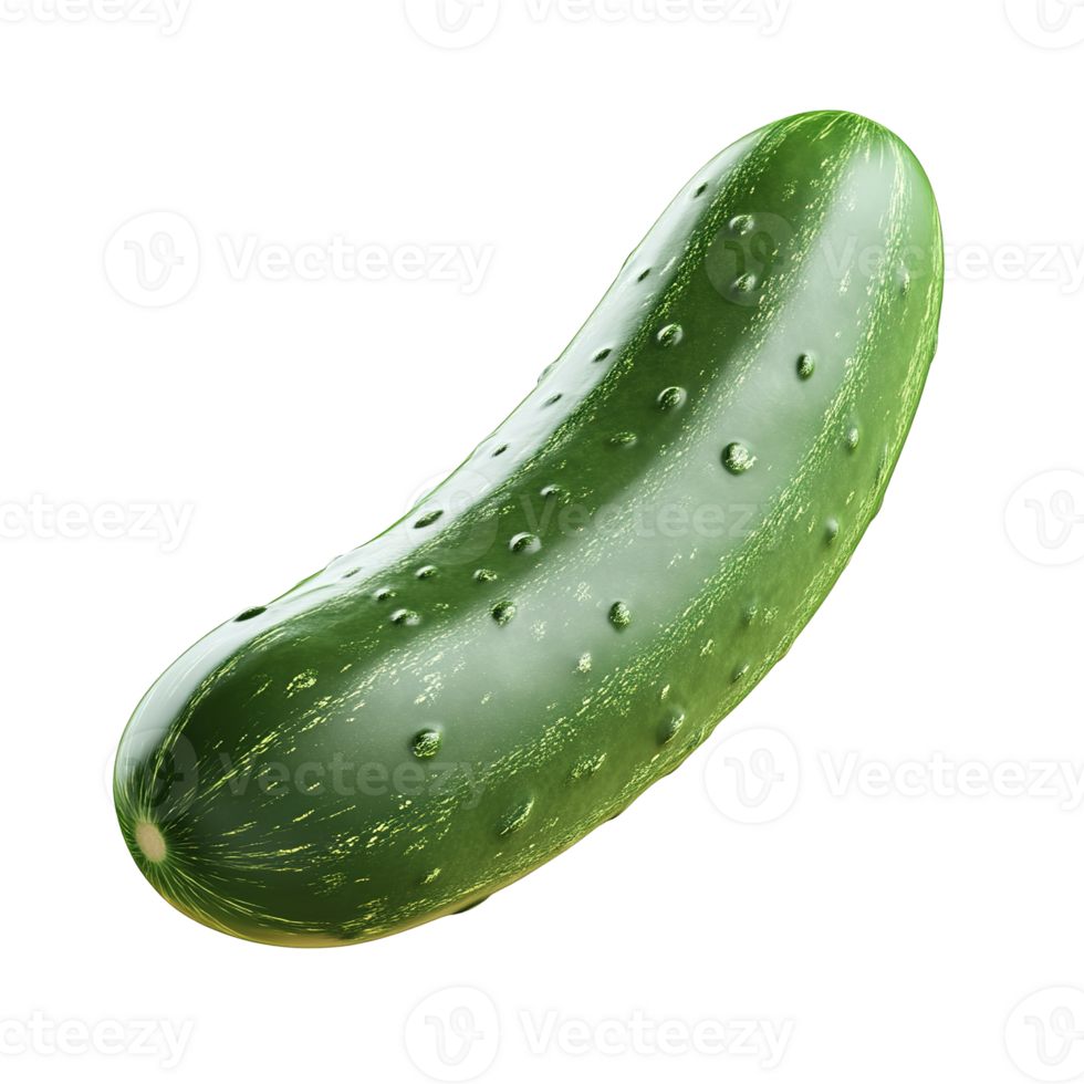 A single green cucumber isolated on transparent background. png