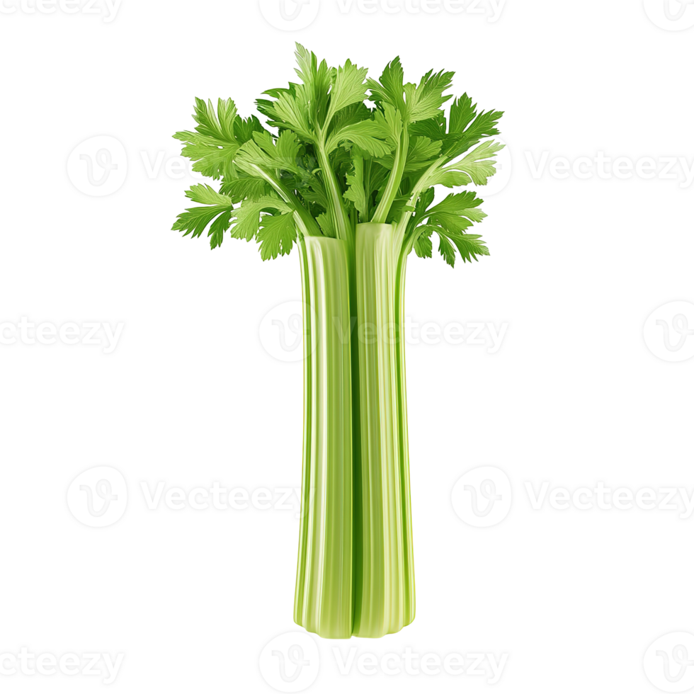 Fresh and crisp bunch of green celery isolated on transparent background. png