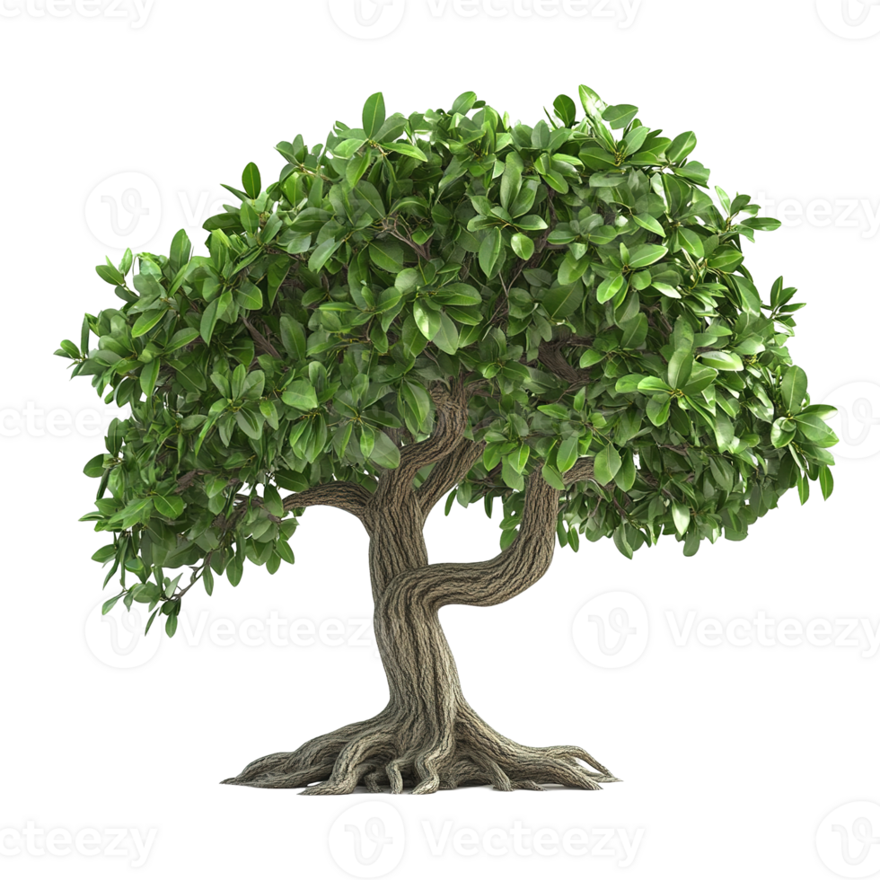 A lush vibrant tree with a detailed textured trunk stands alone png