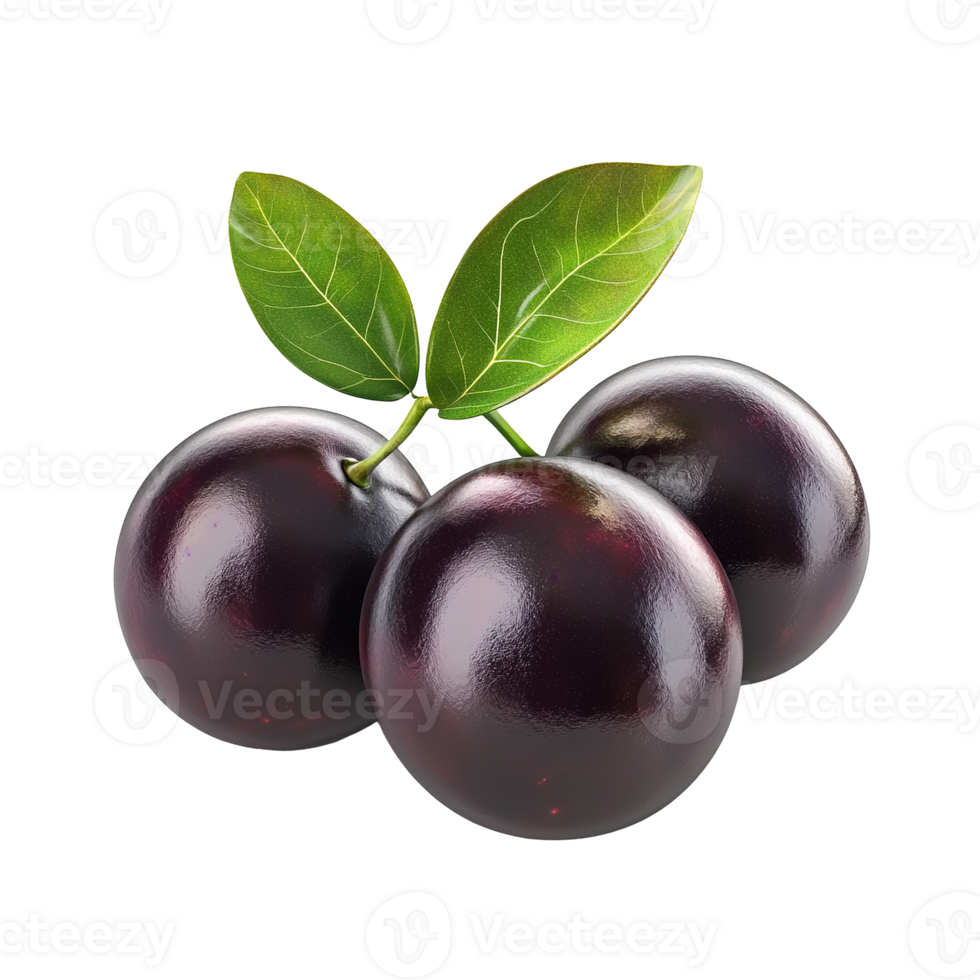 Three round dark purple fruits with attached green leaves are visible png