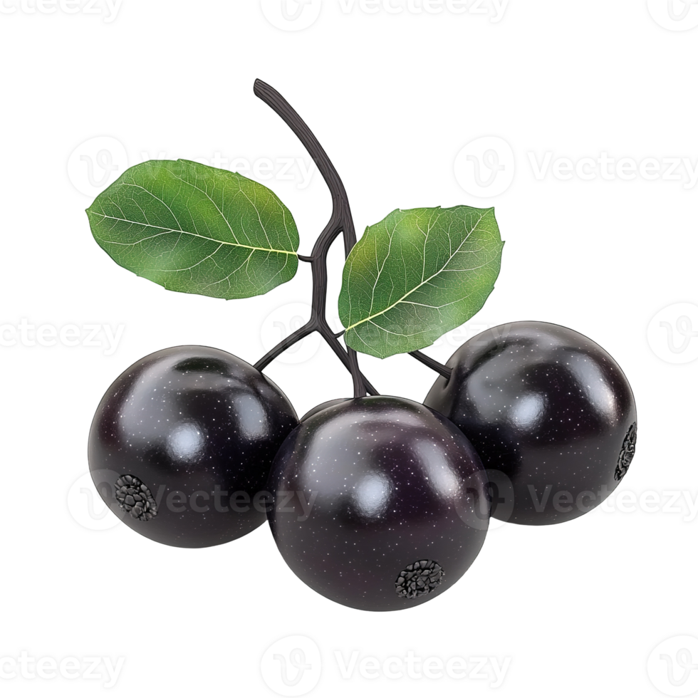 Three shiny dark berries with green leaves on a stem png